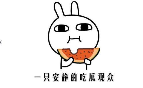 吃瓜事件,揭秘娱乐圈背后的真相与争议